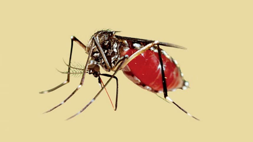 ডেঙ্গুতে ২৪ ঘণ্টায় ২ জনের মৃত্যু, হাসপাতালে ১৪৮