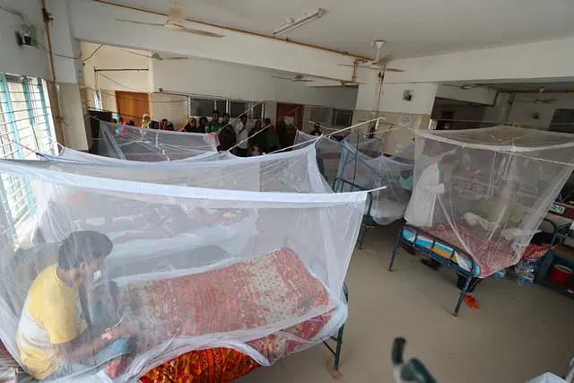 ডেঙ্গুতে মৃত্যু ৫০০ ছাড়াল