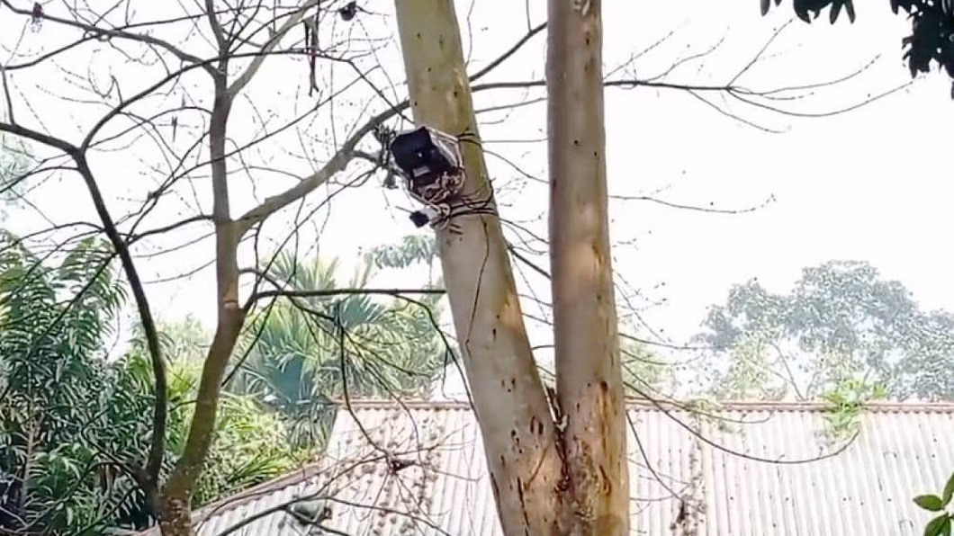 পতাকা বৈঠকের পর বাঁশজানি সীমান্ত থেকে সিসিটিভি ক্যামেরা সরাল বিএসএফ